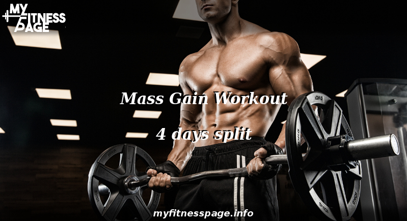 Mass Gain Workout - 4 days split